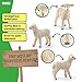 SCHLEICH Farm World | Lamm 13883 Bauernhof Spielfigur | detailgetreue Tierfigur & Sammelfigur | Geschenk für Jungen und Mädchen | Bauernhof Spielzeug ab 3 Jahren | 5 x 2 x 5 cm