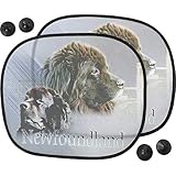 Pets-easy Pare Soleil Chien pour Voiture de Terre Neuve