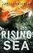 Rising Sea: A Pat Walsh Thriller