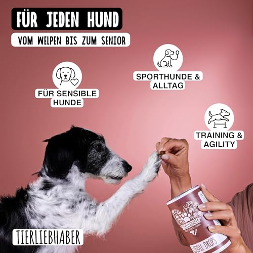 TIERLIEBHABER Goodie Drops gesunde Hundeleckerlies – Hundesnacks für kleine Hunde und Welpen – Dog Treats als Hundeleckerli Getreidefrei – Leckereien für Hunde Hundekekse – (ca. 340 Drops)