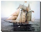 The Pride of Baltimore Sailing Vessel Sailboat Vintage Ship Wall Decor Art Print Poster (16x20)