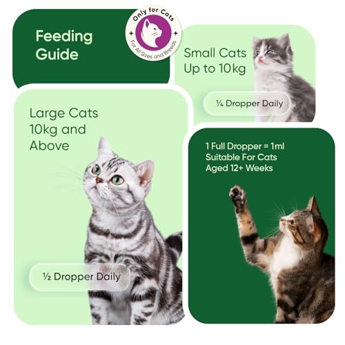 Hemp Oil for Cats 60ml - Pure, Natural & Cold-Pressed - Cat Calming Products for Loud Noises, Car Rides & Home Alone - Rich in Omega 3, 6 & 9 - Cat Calmer for Skin, Coat, Bones & Joints - Image 6