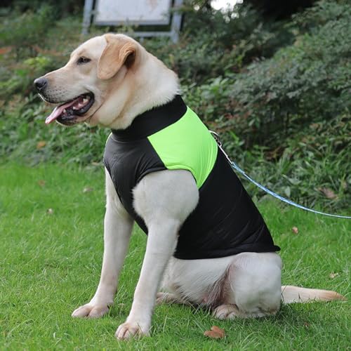 Chaleco de invierno para perros con cremallera y anillas en D impermeable verde 2XL 5