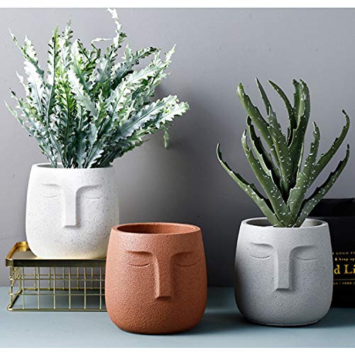 5.5Inch Concrete Planter, Urn For Plants, Modern Indoor/Outdoor Head Planter Face Flowers Plant Pots , Statue Plant Pot For Home Decoration, Gift ,Concrete Head Planter For Home Decoration(White) #TOP1