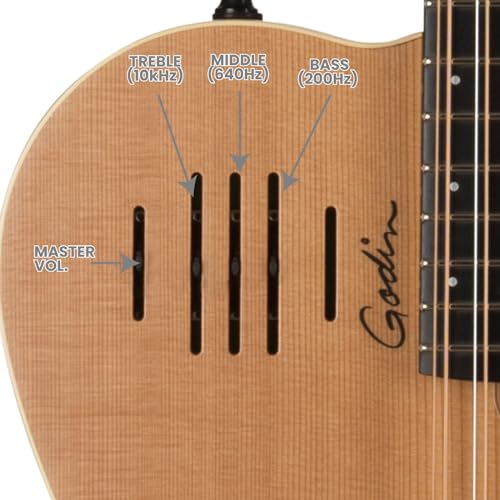 Godin 025343 A12 Two-Chambered Electro-Acoustic Guitar thumb #4