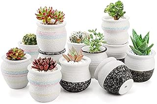 Dicunoy Set of 12 Mini Succulent Pot, 6cm H Tiny Ceramic Planters, Porcelain Planter with Drainage Hole Snowflakes Glazed, Ideal for Home Office Bookshelf Frame Decor