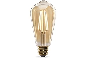 Feit Electric Vintage Exposed Filament Amber Glass LED ST19 with a Medium...