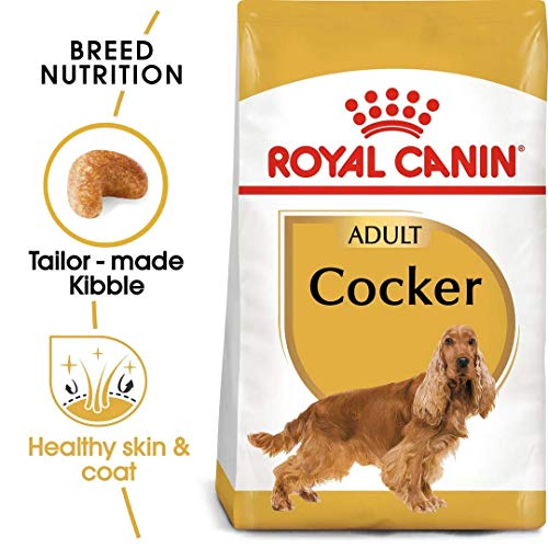 Royal Canin Cocker 25 Adult Hundefutter 12 kg, 1er Pack (1 x 12 kg)