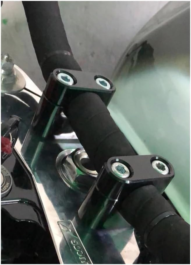 アガベ ハデス 黒鉢 アガベ ハデス JOURNAL STANDARD FURNITURE 黒鉢