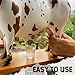 Nelore Bull Liquor Dispenser Imagen de Nelore Bull Liquor Dispenser