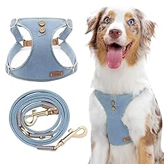 Relaxed Medium-Button-Glacier