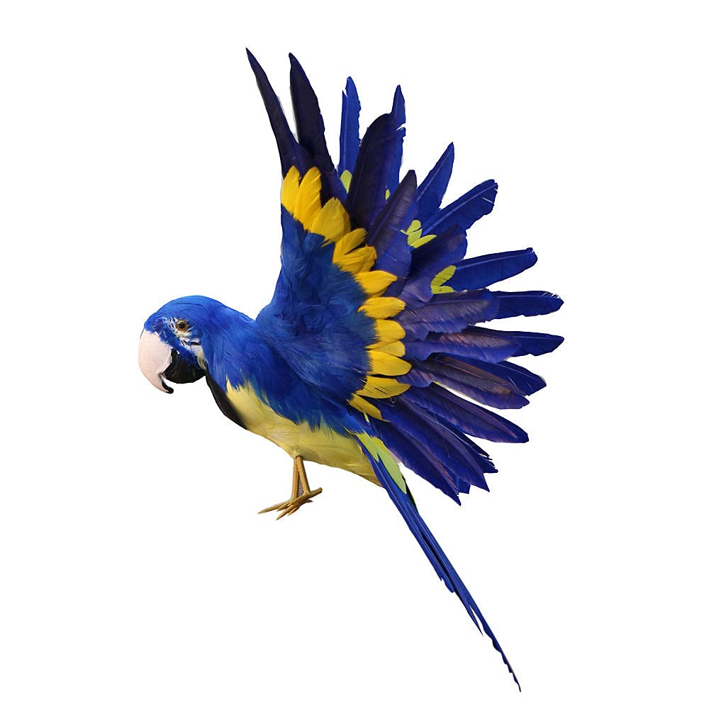 Sharplace artificiel Plumes Figurine en Plastique Paysage Ornement Jardin Décor Bricolage Halloween, Perroquet bleu