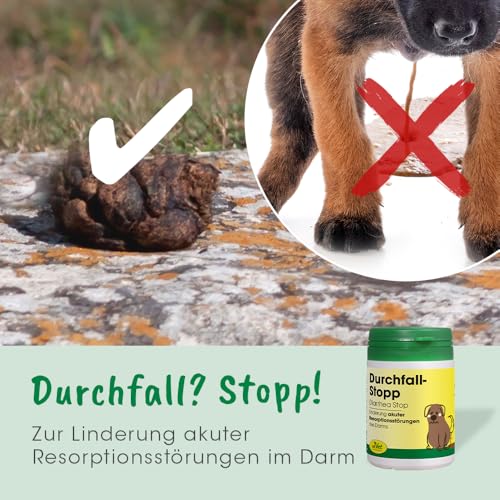 cdVet Naturprodukte DurchfallStopp für Hunde und Katzen 50 g - Unterstützung bei akuten Magen-Darm-Beschwerden - Diät-Ergänzungsfuttermittel