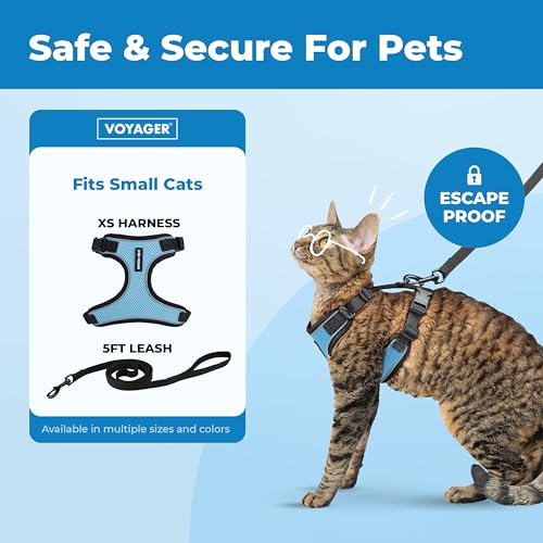 Image of Voyager Escape-Proof Step-in Lock Cat Harness & 5ft Neoprene-Handle Leash Set All-Weather Mesh with Reflective Stitching for Small to Large Cats by Best Pet Supplies, Black Trim-Baby Blue (327), XS