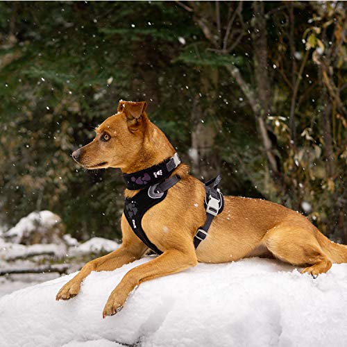 Hurtta Weekend Warrior Halsband für Große Hunde, Hundehalsband Schwarz 55-65 cm
