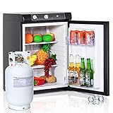 Techomey Propane Refrigerator off Grid 2.1 Cu.Ft, 3 Way Fridge LPG/110V/12V, Quiet Gas Refrigerator for Camper, Semi Truck, RV, Black