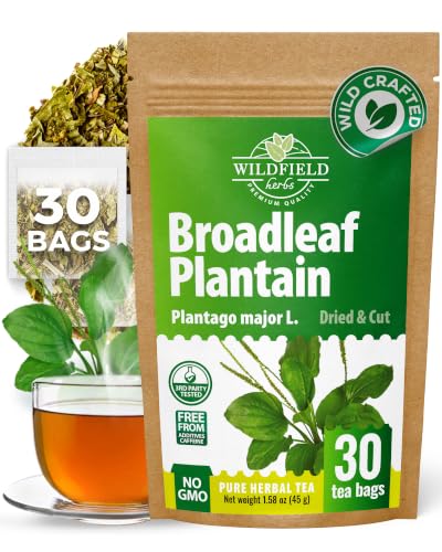 50 Bags Broadleaf Plantain Leaf Herb Tea (Plantago Majoris Folia) Plantain Leaves Tea - 50 Count 1.5 g Bags Llanten