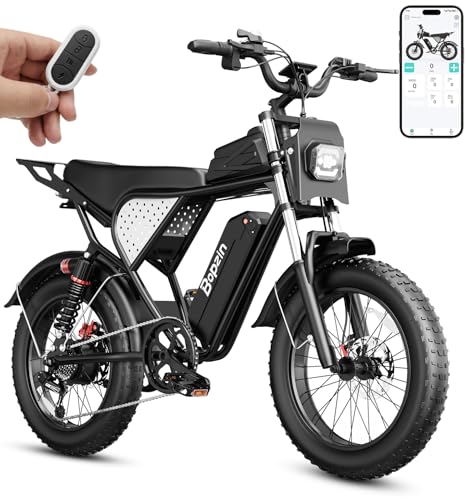1500W 35MPH All-Terrain E-bike