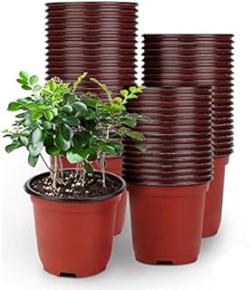 LATERN 50Pcs 15cm Plastic Plant Flower Pots Lightweight Seed Starting Pots Nursery Seedlings Pots Flower Plant Container (15 x 13cm)