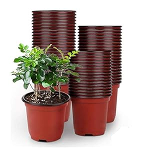 LATERN 50 stuks 15 cm plastic plantenpotten lichtgewicht zaadstartpotten kwekerij zaailingen potten bloem plant container (15 x 13 cm)