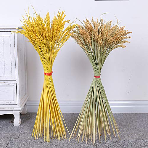 Pool-Staubsauger, Pool-Reinigungs-Set mit 120 cm langer 5-teiliger Stange und Gelenk, mit Düse und Saugkopf, Pool-Reinigungszubehör für