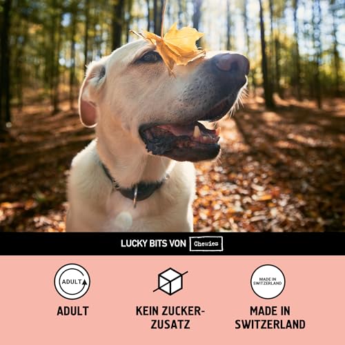Chewies Lucky Bits Pferd Adult Hundeleckerli - Hunde-Leckerlis getreidefrei & Soft mit viel Protein und Superfoods wie Bierhefe oder Ginkgo, ohne Zucker (80 g)