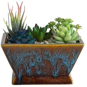 ARTKETTY Plantenpotten – grote vetplanten potten met afvoer, keramische potten voor binnen en buiten, cactusplanten, geglazuurde bonsai, bloembak, container voor bureau, vensterbank, decoratie