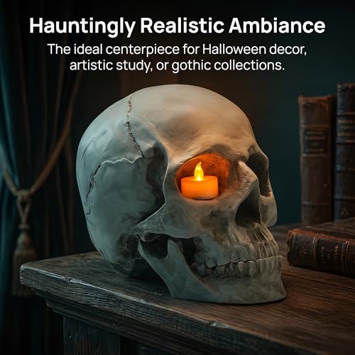 Image of SOACH Resin Skull, 1:1 Human Skull, Human Head Model for Home Decoration, Halloween Statue, Bone Model, Model Anatomical Medical Skeleton, Jaw is Movable (White)