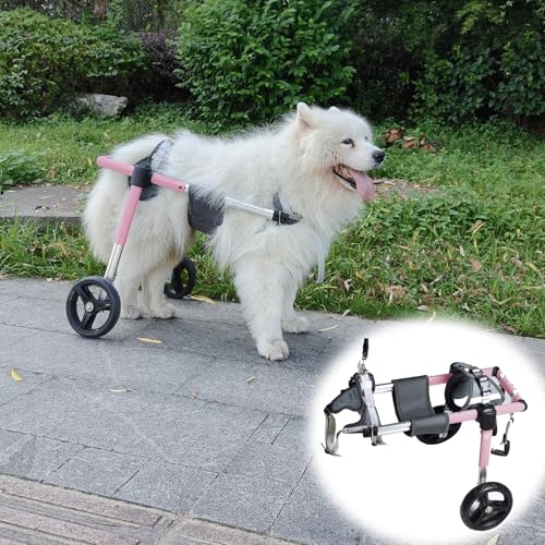 Genérico Silla de Ruedas para Perros con 4 Ruedas para Patas traseras, para Razas Grandes y Medianas, Andador asistido para extremidades traseras débiles, Ayuda para Caminar al Aire Libre con Las Pat