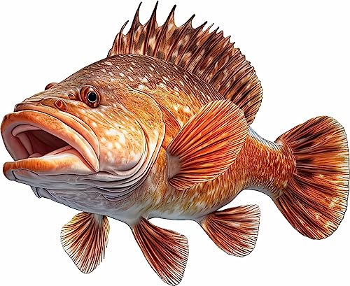 Grouper Beautiful Fish Decal | Fishing Decal for Boat, Car, Vehicle, Truck Etc | Waterproof Vinyl Sticker | Many Sizes & Styles Available | 12