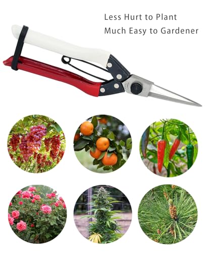 Image of Double-Edge Garden Shears Micro-Tip Pruning Shears Extra Heavy Straight Garden Scissors Effortless Cuts Pruning Shears for Gardening Clippers for Plant Herb Flower Harvesting Fruits vegetables