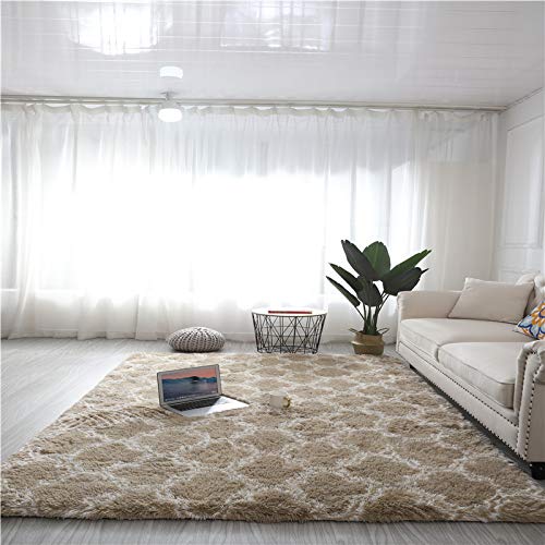 Rugs Living Room Large,Washable Grey Area Rugs for Bedroom, Anti Slip Modern Super Soft Thick Pile Small Fluffy Shaggy Rug Non Shedding,13,60 * 110cm