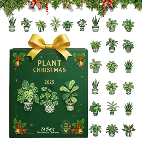 Calendario per conto alla rovescia, decorazione 2D in acrilico per piante – 24 giorni pianta ornamenti natalizi – per amanti del giardinaggio, casa, parete, finestra, esposizione stagionale