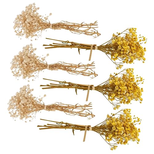 Flores secas Babys Breath 6 pcs para decoración natural miniatura 1