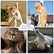 Wrestling Cat Toy Puppet,Cat Puppet Wrestler,Plüschkatze Wrestle Toy,Lustige Katzen Puppe Wrestling Spielzeug,für Hauskatzen & Katzenliebhaber