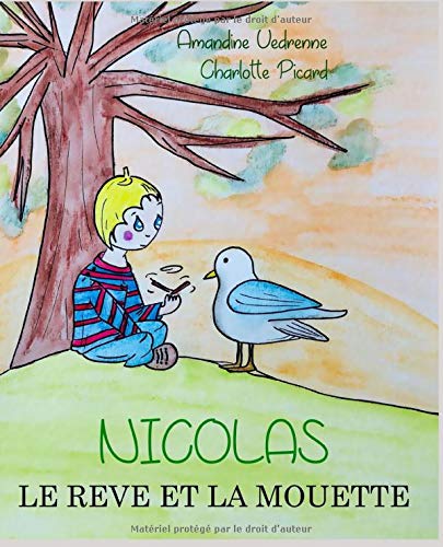 Télécharger NICOLAS: LE REVE ET LA MOUETTE Livre PDF Gratuit