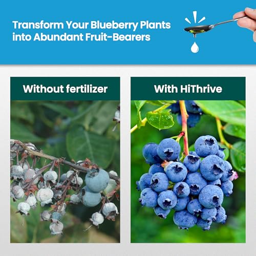 Fertilizante Líquido Blueberry de 32 oz para Plantas de Arándanos miniatura 3