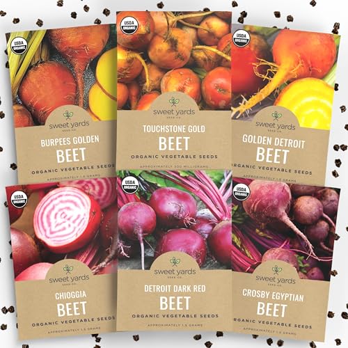 Organic Beet Seeds Variety Pack - 6 Individual Packs - 2026 Season - Detroit Red Touchstone Gold Crosby Egyptian and More! for Indoor & Outdoor Planting (Non-GMO Certified Organic)