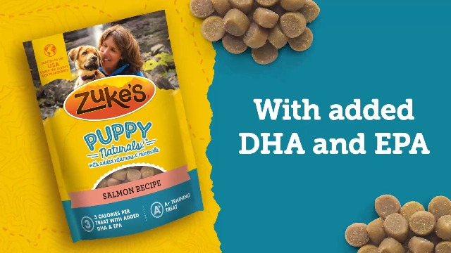 Amazon.com : Zuke's Adventure Bites Pet Treats for Dogs, Soft Dog