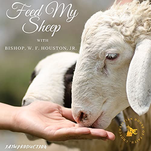 Feed My Sheep cover art