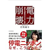 電力崩壊　戦略なき国家のエネルギー敗戦 (日本経済新聞出版)