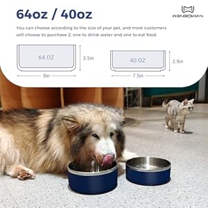 Dog bowl stainless steel dog food and water bowl with non slip quiet bottom easy to clean dishwasher safe 40oz blue  urban country home decor