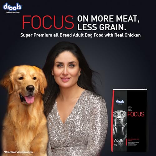 Image of Drools Focus Premium Adult Dry Dog Food 1.2kg Pack | Chicken Flavour | Growth & Intelligence | Digestive Health | Healthy Skin & Coat | Improves Immunity