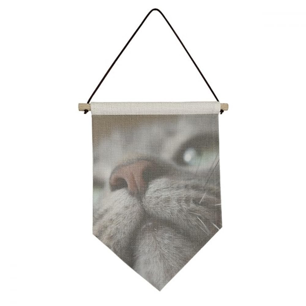 Drapeau sur toile chat pour decoration murale salon