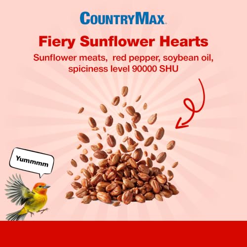 Image of CountryMax Backyard Seeds 20LB Fiery Sunflower Hearts for Birds | No Shell, No Mess, Made with Red Pepper to Discourage Squirrels, High Energy Wild Bird Food for Feeders, USA Sourced