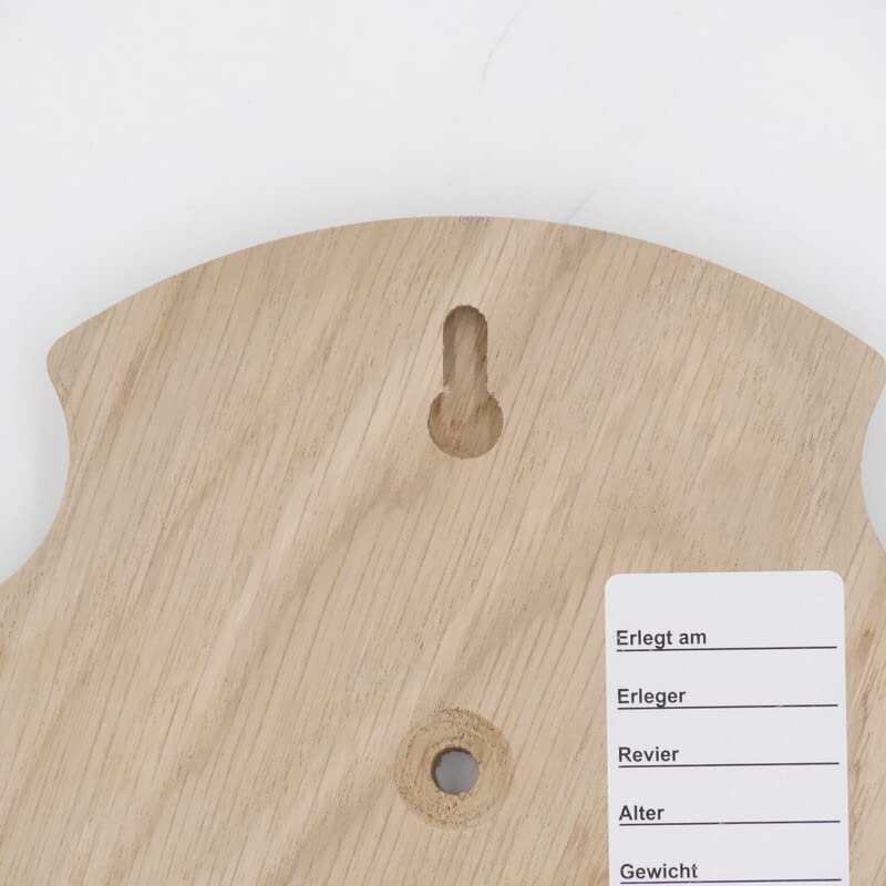 REH - Placas de trofeos (5 unidades, 21 x 13 cm, en punta, tamaño grande, roble claro, con 1 compartimento de pino)