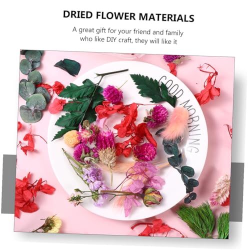 6 cajas flores secas naturales para decoración y manualidades miniatura 7