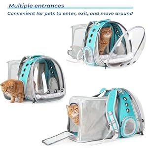 LOLLIMEOW-Pet-Carrier-Backpack-Bubble-Backpack-Carrier-Cats-and-PuppiesAirline-Approved-Designed-for-Travel-Hiking-Walking-Outdoor-Use-Dual-Expandable-Green - Cucciolini Doodles   LOLLIMEOW-Pet-Carrier-Backpack-Bubble-Backpack-Carrier-Cats-and-PuppiesAirline-Approved-Designed-for-Travel-Hiking-Walking-Outdoor-Use-Dual-Expandable-Green