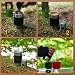 Imagen de Handpresso cafetera francesa Travel press