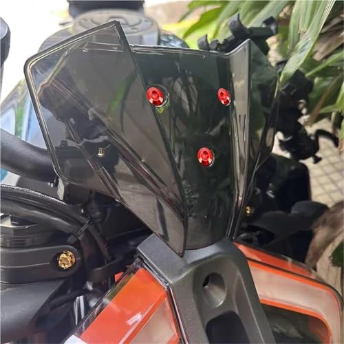 Kit Tornillos Alerón Suzuki Burgman contra Pérdida de Cúpula 3